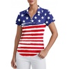 Usa Flag